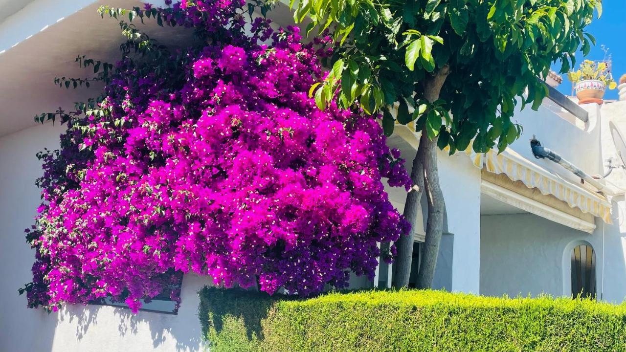 Modern Garden Apartment With A Fantastic Sea View And A Private Garden Sitio de Calahonda Exterior foto